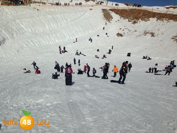 jabalelskheikhlud (16).JPG